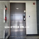 펠리시떼 이미지