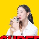 마이펫스토어 이미지