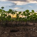 천천농장 이미지