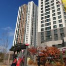 옥길자이어린이집 이미지