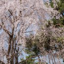 엔젤리너스 진주금호못점 이미지