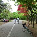 강변자전거길 1 이미지