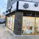 베리독 강아지고양이 평택본점 | 평택강아지분양 베리독 강아지고양이 평택본점 24시간 분양상담이 가능한 곳
