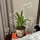 신발공판장 네이버블로그