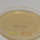 황춘균 네이버블로그