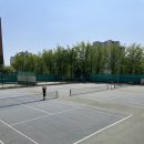 서강대학교 | 서강대학교 테니스장 연습 후기