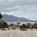 적금해리스 이미지