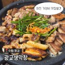 광교중앙역 가성비 맛집 광교생막창 냄새에 홀려 들어간 소곱창 만이천원 찐후기
