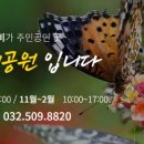 인천나비공원 이미지