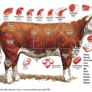 (Pic) Meat, Poultry and Seafood - beef, pork 이미지