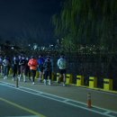 월드나이트 이미지