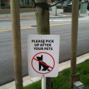 강아지똥 이미지