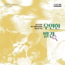 우연한발견