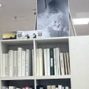 239 | {D-239} 결혼 준비 시작! 다이렉트 박람회 방문 후기