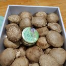 유림청과 이미지