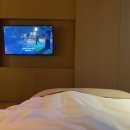 씨제이대한통운 해슬리나인브릿지 이미지