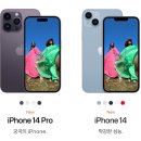 답프로포즈 준비기부터 성공까지!