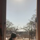 고요의숲