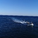 후포회대게 이미지