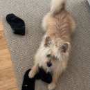 사랑을 채워가는 통 이미지