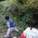 월문초등학교(병설) 이미지