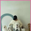 릴리리독 | 송도애견미용 리리리독, 내 아이들의 두 번째 집