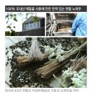 63년 전통 청수식품 100% 국내산 순 메밀냉면~ 이미지