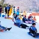 양지파인리조트 눈썰매장 네이버블로그