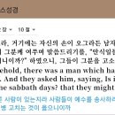 타이세븐 티스토리