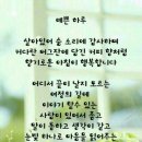 예쁜하루 이미지