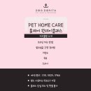 도그보니타 이미지