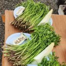 해인들농장 이미지