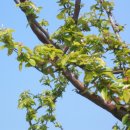 나무와흙 이미지