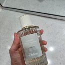 힐그로우 | 너의 하루를 향기롭게 꾸며줄게 ((o(￣ー￣)o))