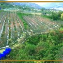 명성농장 이미지