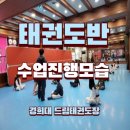 경희대 드림 태권도장 이미지