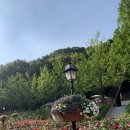 자연농원 이미지