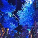 CU산타마리아점 | 인천호캉스 인스파이어 포레스트타워 디럭스더블퀸 &amp; 스플래시베이 후기