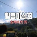 새밭식당 이미지