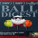 볼코리아 이미지