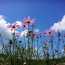 아름다운 이미지