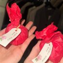 갑오징어꾸이 | 2025 11월 모음집