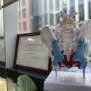 준경한의원 | 질염 치료 이후에도 질이 아파요 외음부불편함