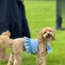 장수사슴목장 이미지