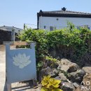 김녕할망네 이미지