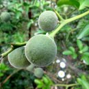 송악주유소 이미지