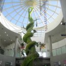 성마을농장 이미지