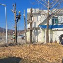처리경로당 Daum카페