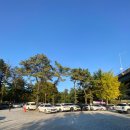 삼막애견공원 내 화장실 | 안양 '삼막 애견공원' 이용 후기 #입장방법 #삼막애견공원등록