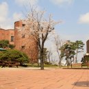 여주대학교 이미지